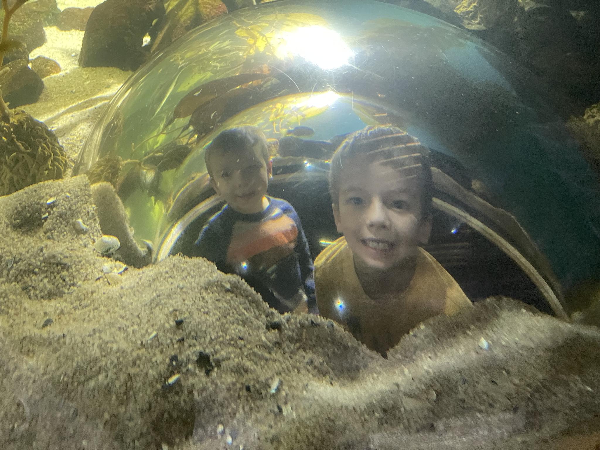 Denver Aquarium Ryan and Charlie Bubble